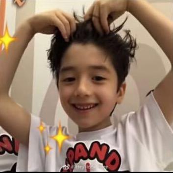 拉布拉多到底拉的多不多