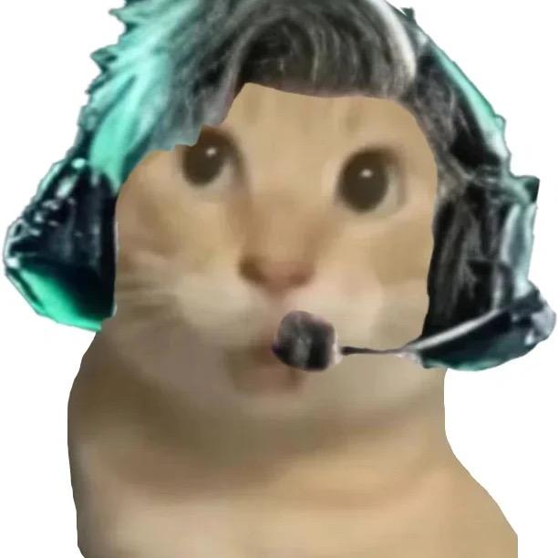 黄焖三哈（三角洲行动）