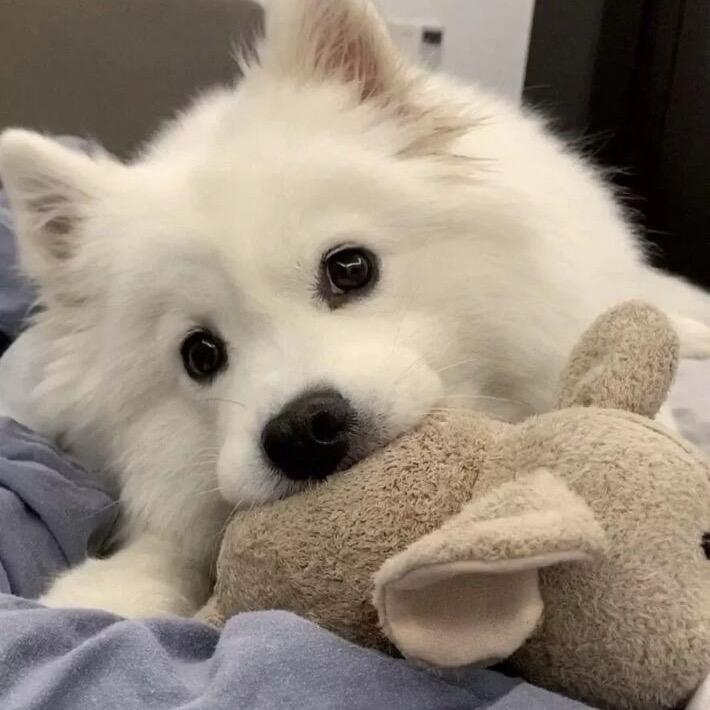 江遇💤