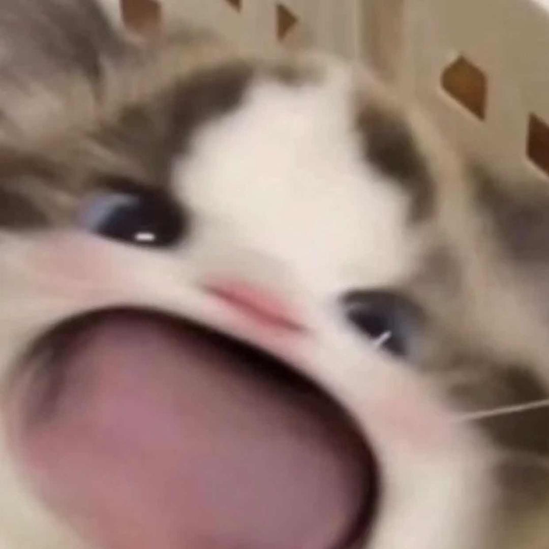 玩具大王小燊