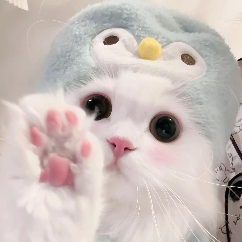 (ᐡ ɞ̴̶̷ . ɞ̴̶̷ ᐡ)