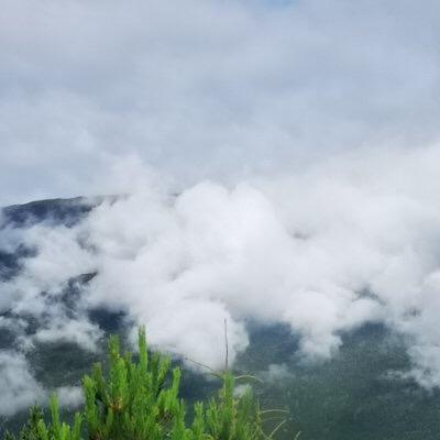 静心💕（拒绝连赞）