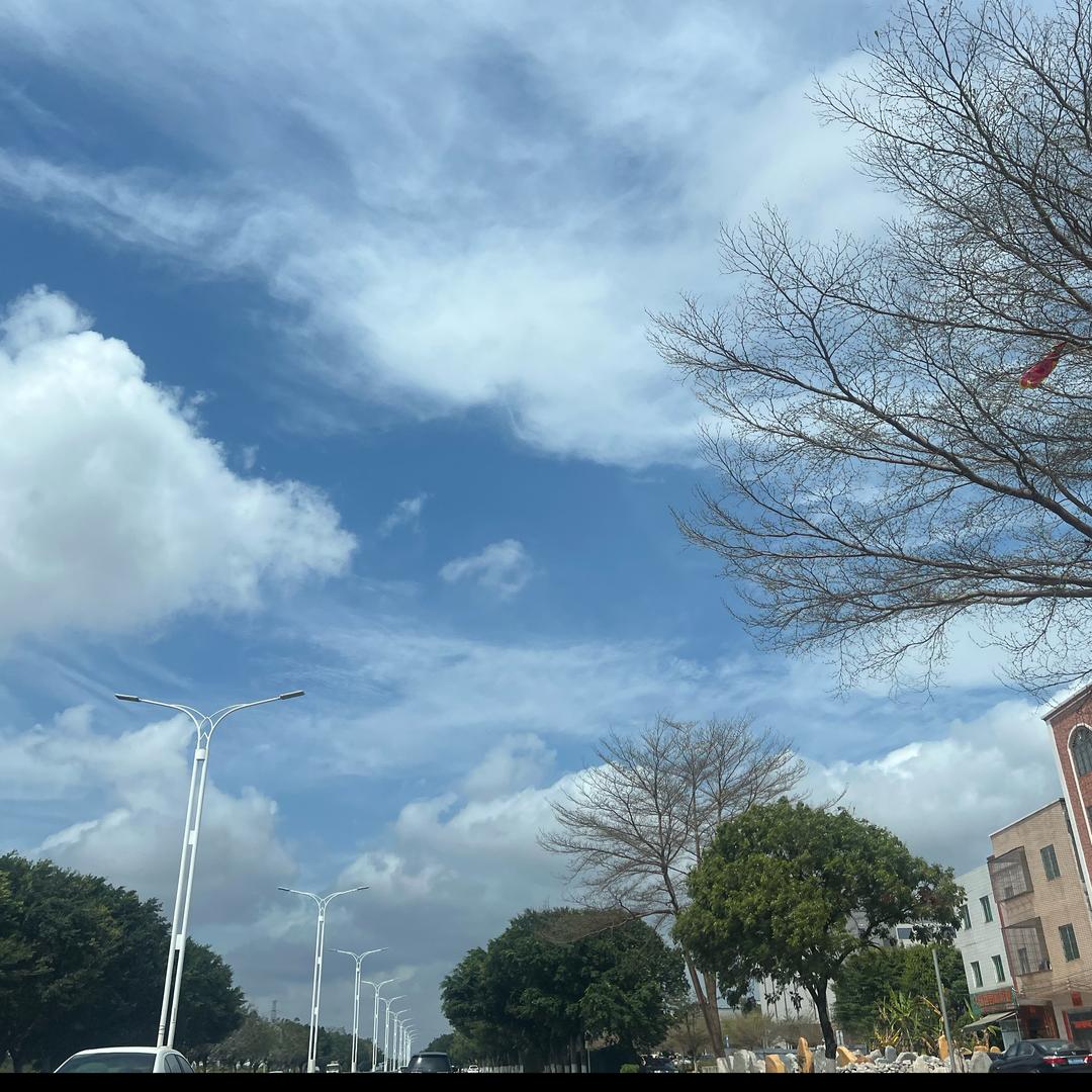 愛永不凋零⁵⁷