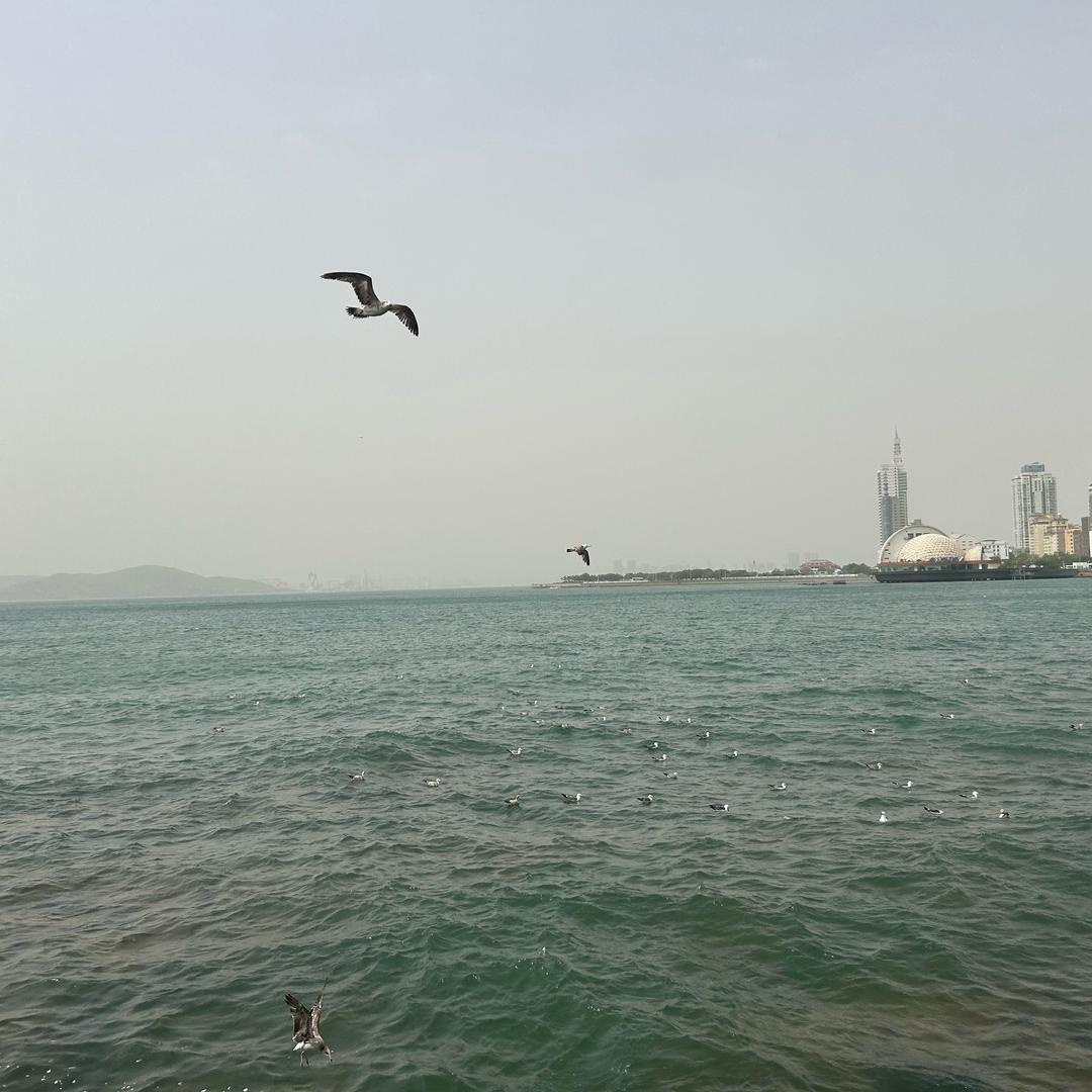 将帅养殖设备