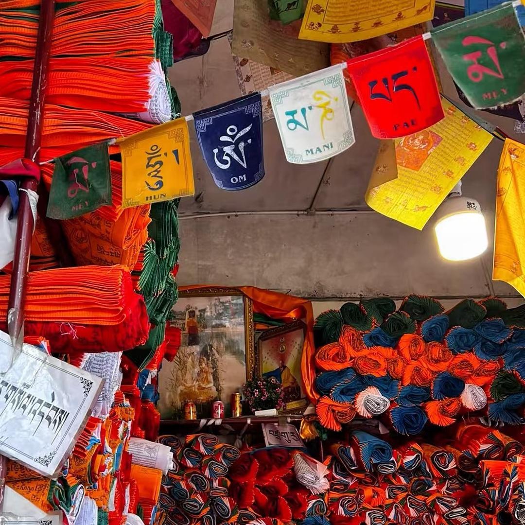 藏草集虫草批发