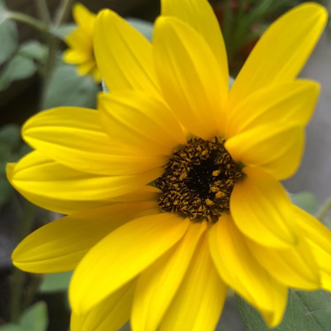 布达拉的三维空间