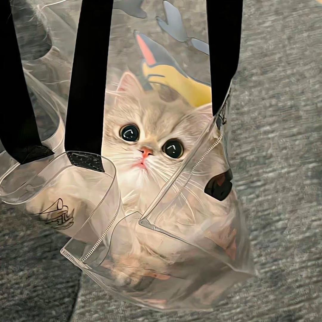 呼呼𝙯ᙆ