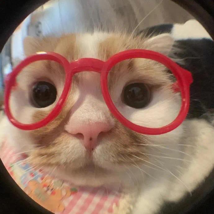 000