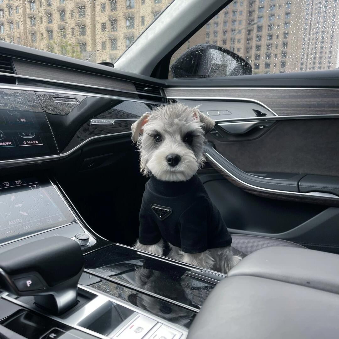 小崇（威宁汽车租赁）🚘