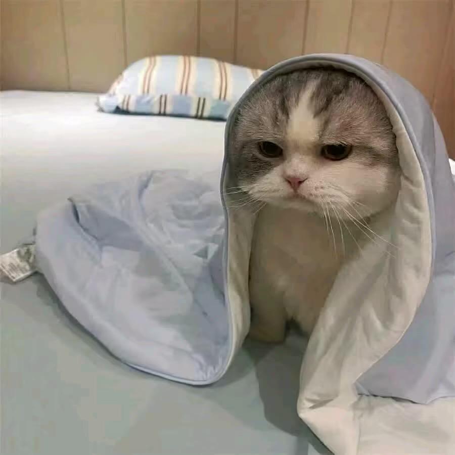 ！.