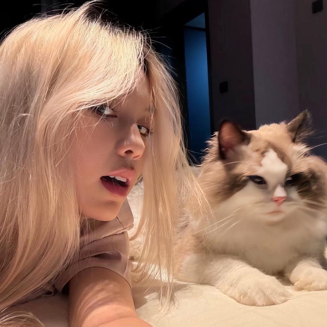 微醺小猫🐈