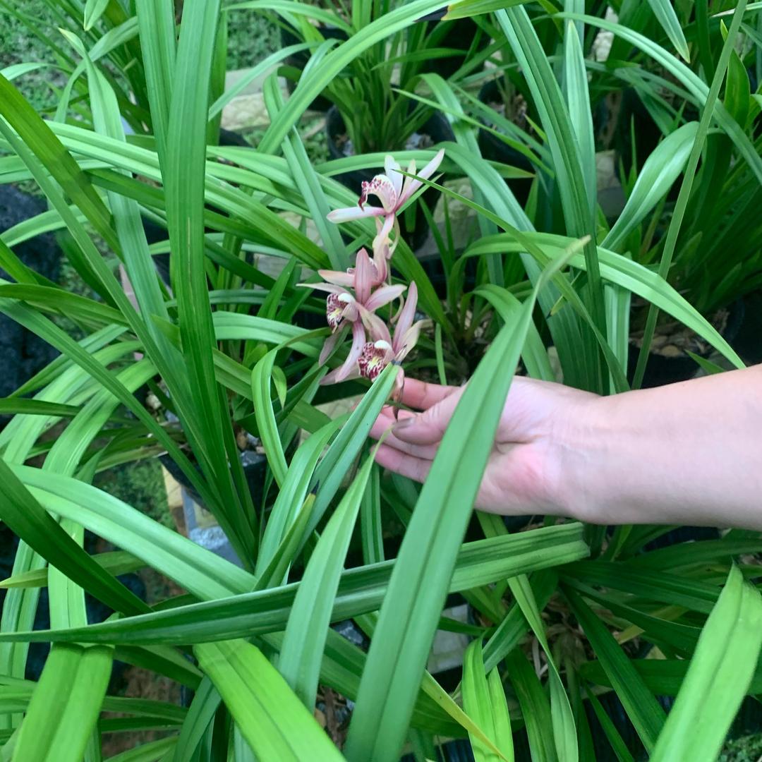 宁远县鱼乐轩商店（个体工商户）