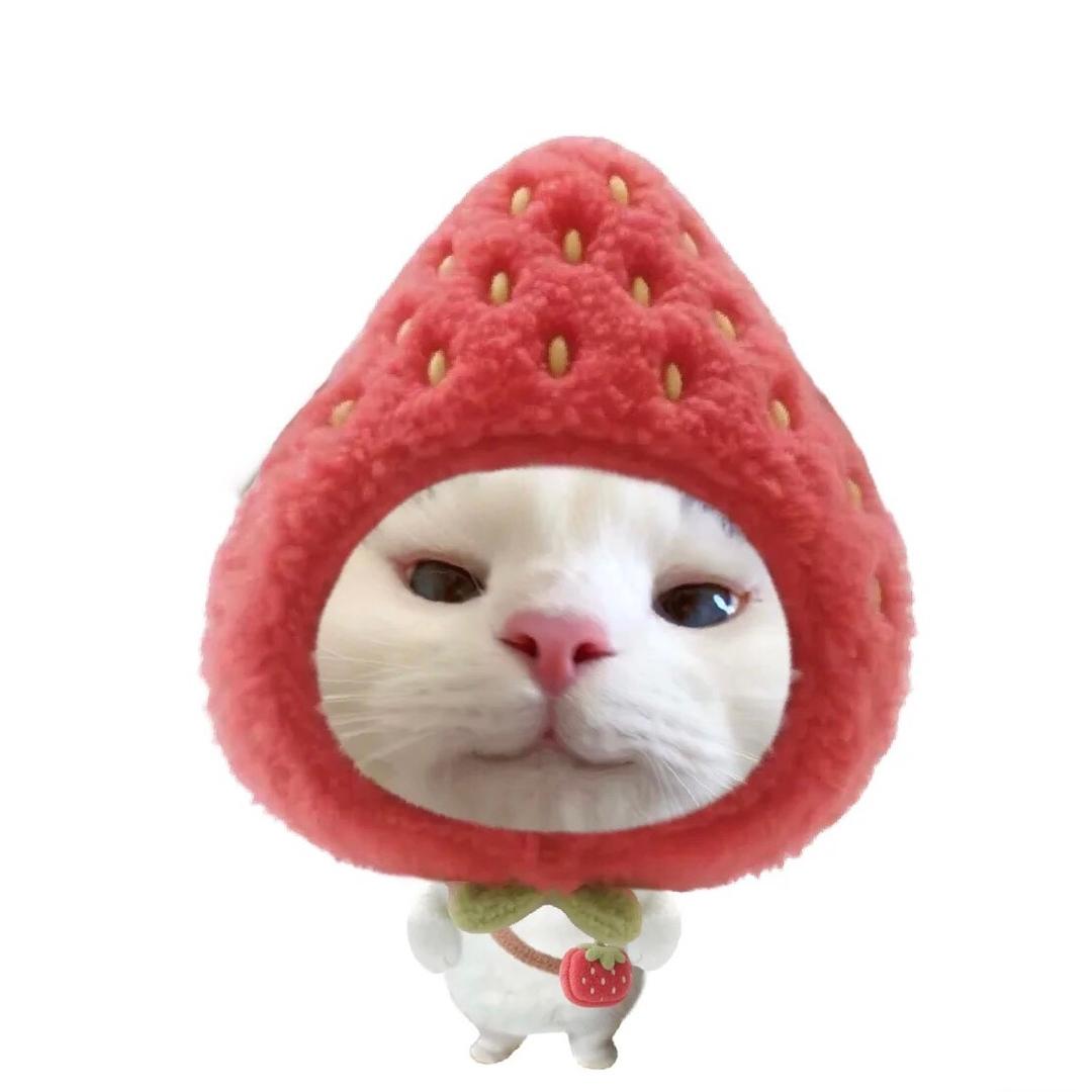 挑食蛋壳-ruby（研0版）