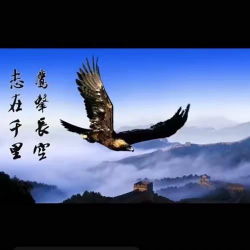 顺期自然🦅