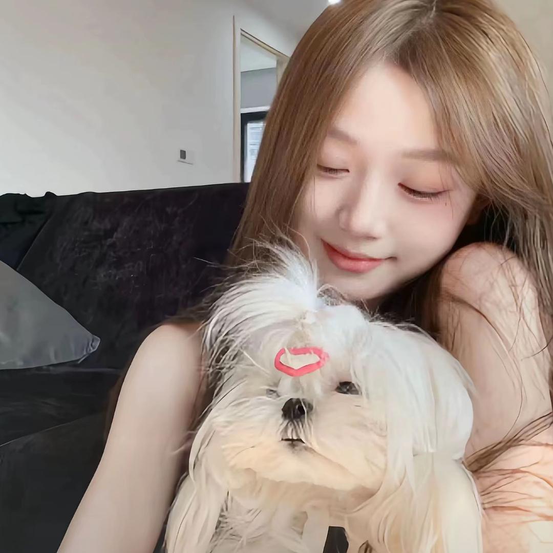 懒猫