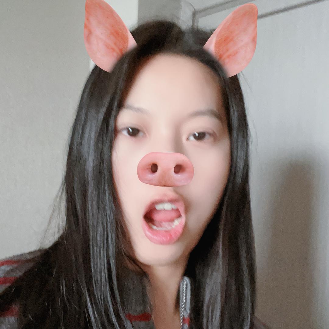 二手矿山砂石设备——欢欢