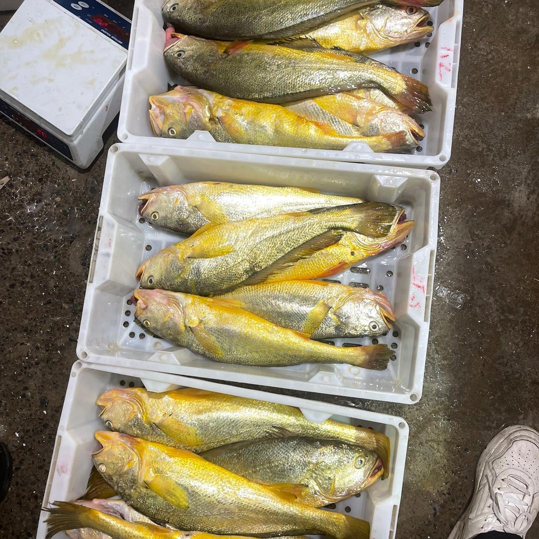 舟山蟹哥海鲜
