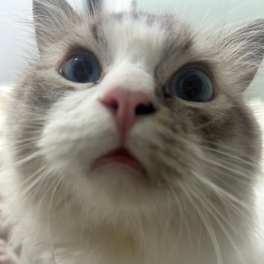 我天天晒太阳