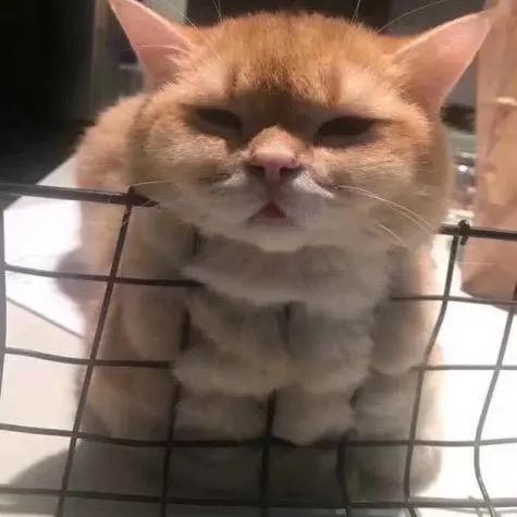 我叫年糕