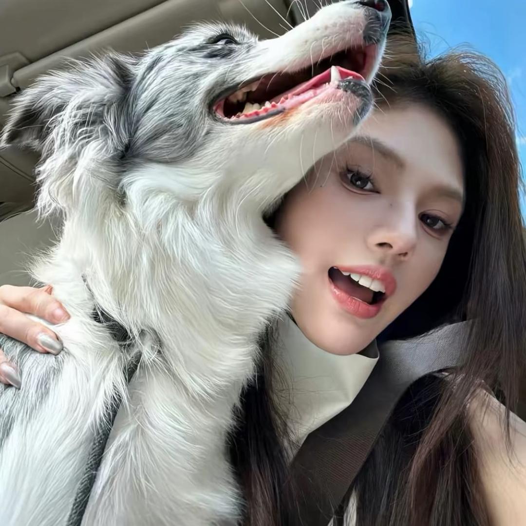 晚    安