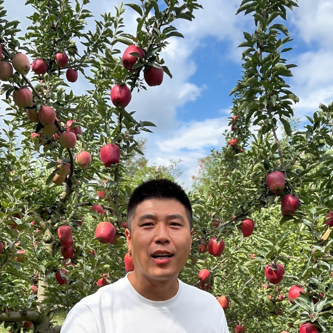 向洋果蔬部落