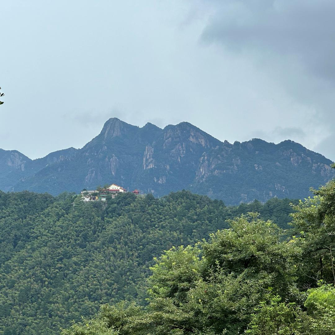来一颗小柠檬🍋