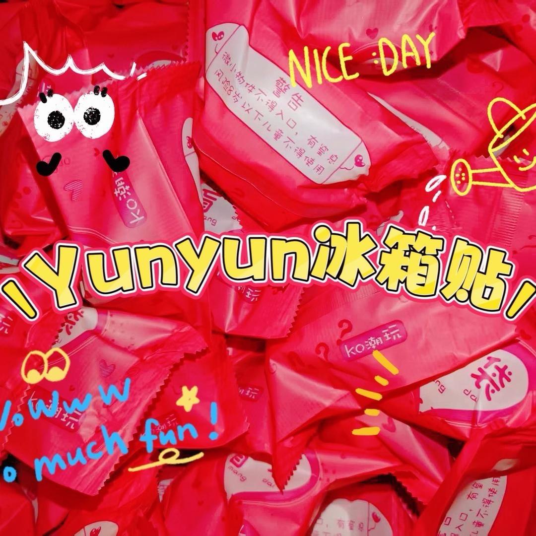 Yunyun冰箱贴