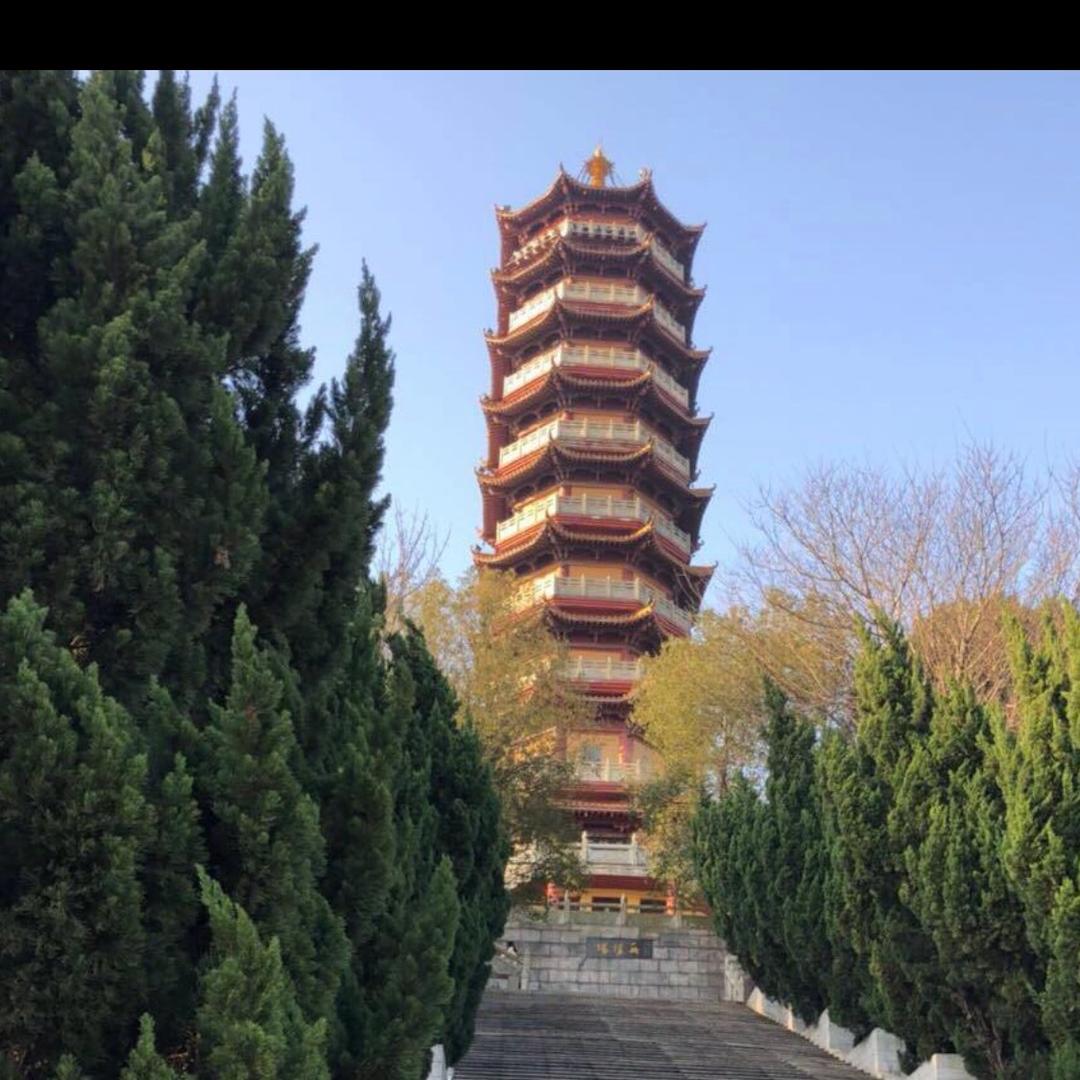 觀驿土