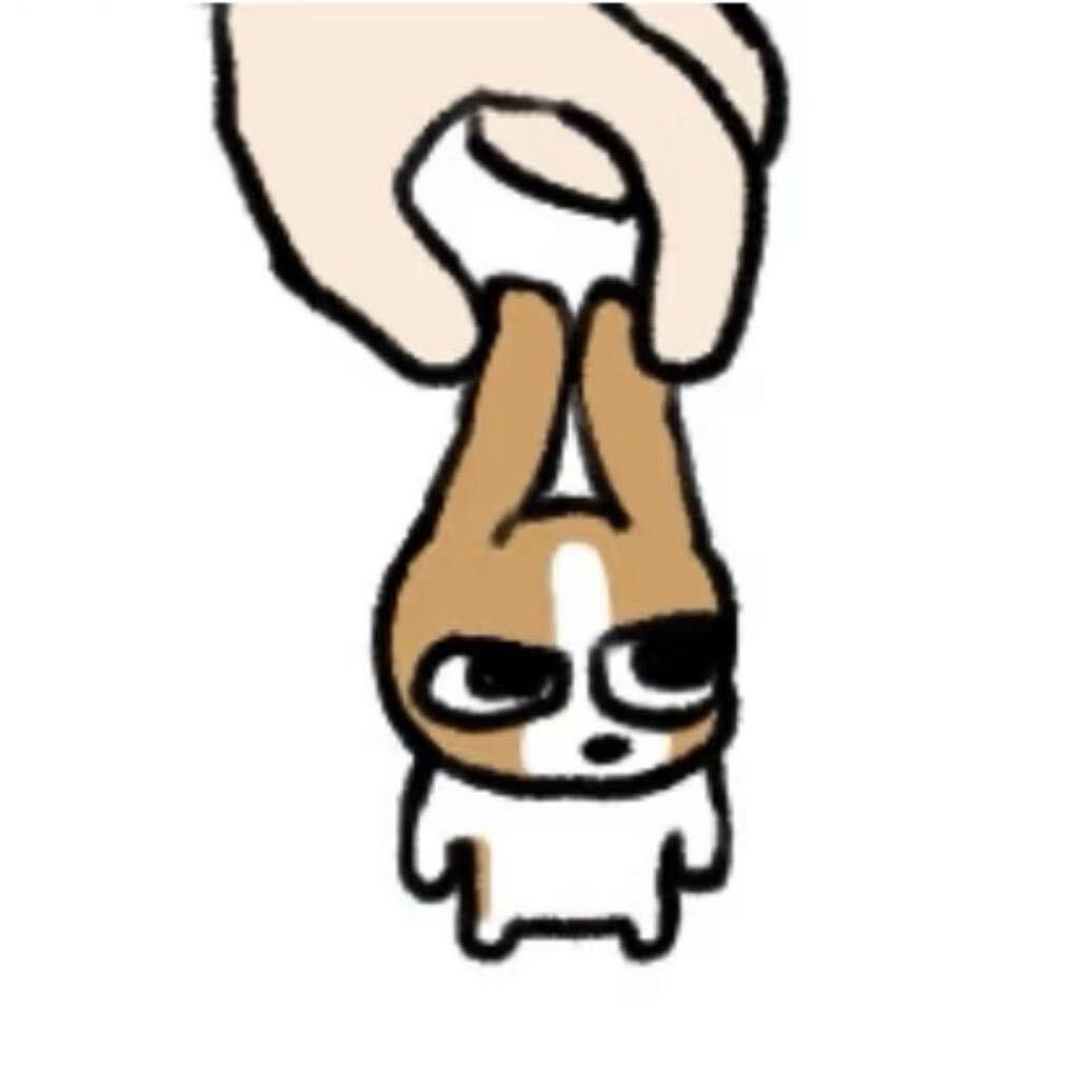 愿与愁
