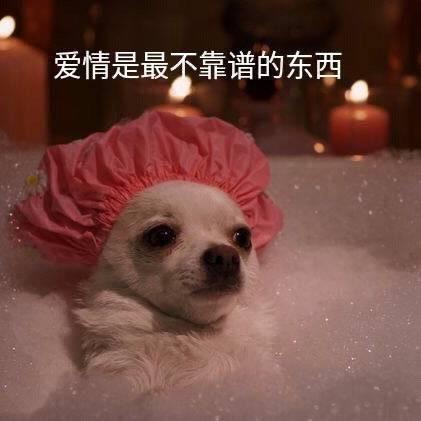 夜雨商k（订包版）
