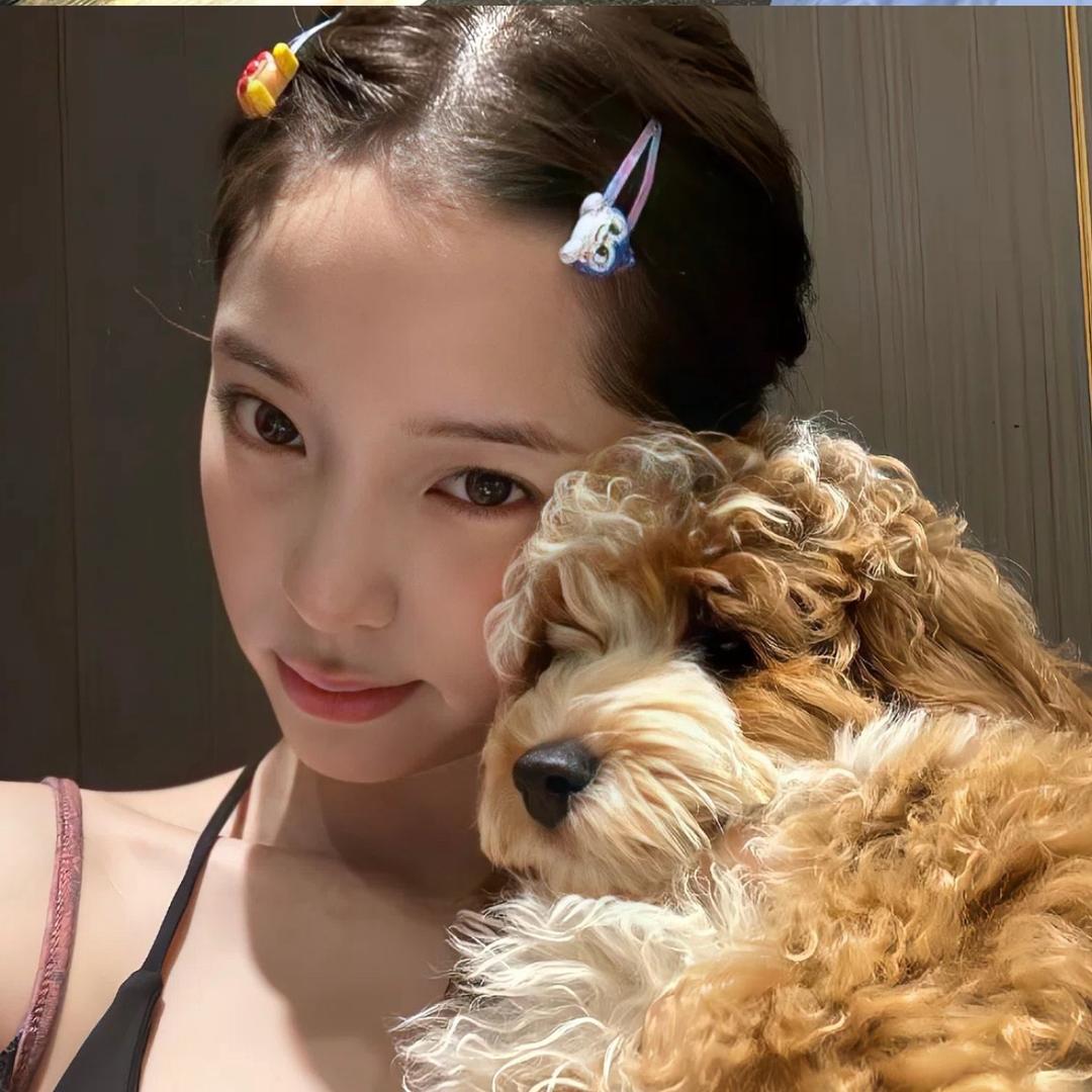 秋霜