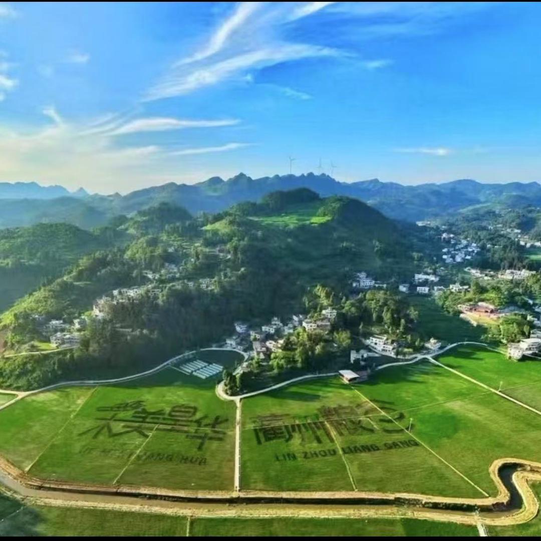 抚琴笑唱离人心