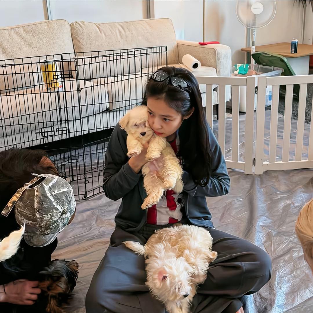 iiis.（主页暂时改不了版）