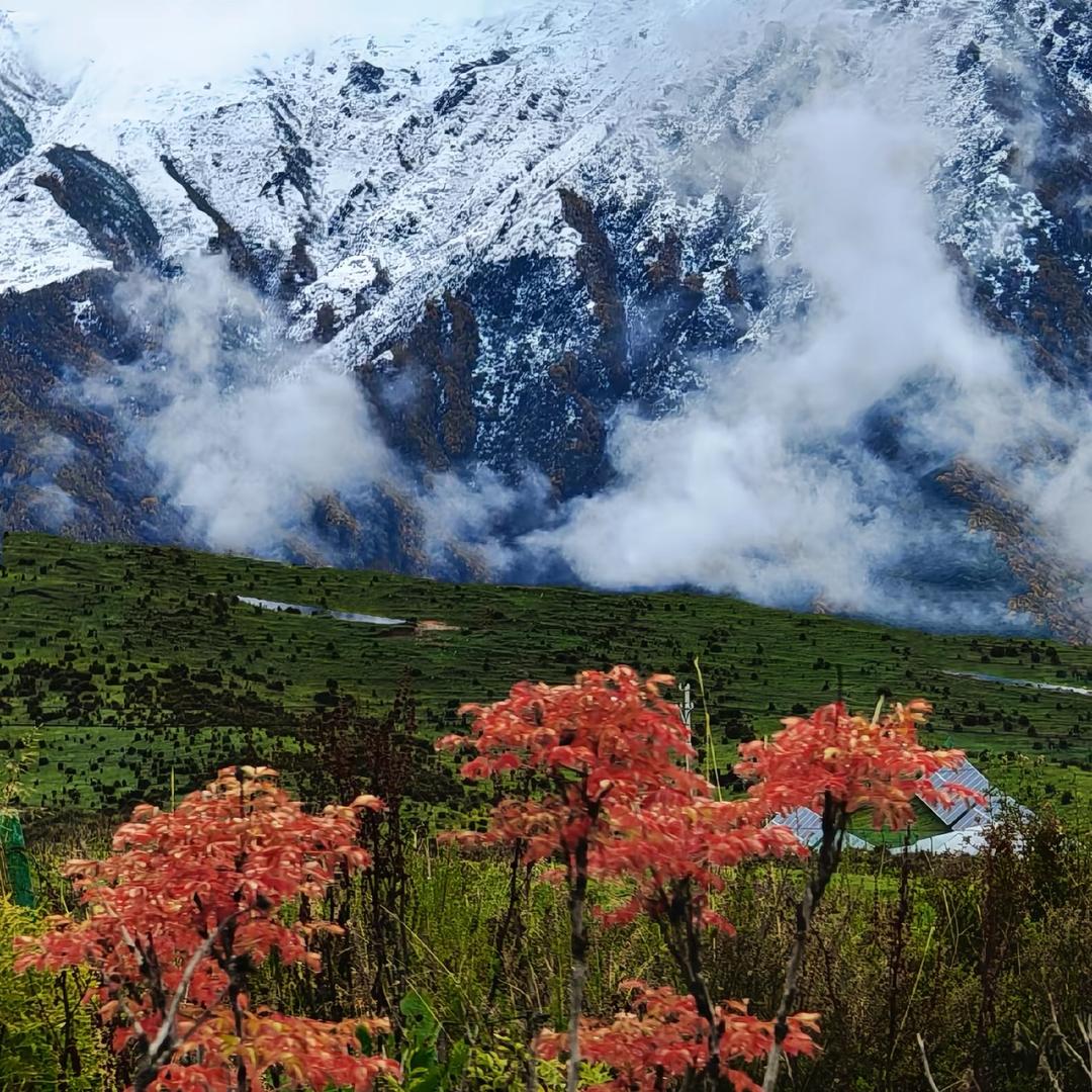 邓邓有余 美味烧烤