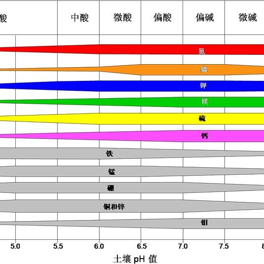 峰哥带你闯姜湖Wf²⁰²⁵