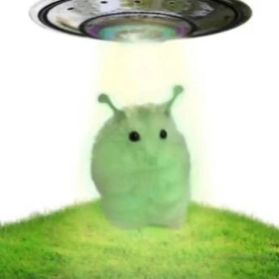 瑞安集翔物