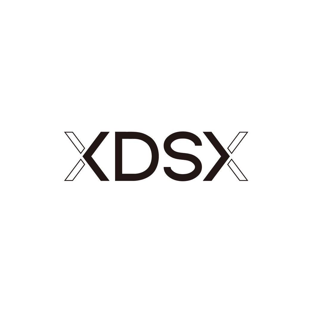 XDSX
