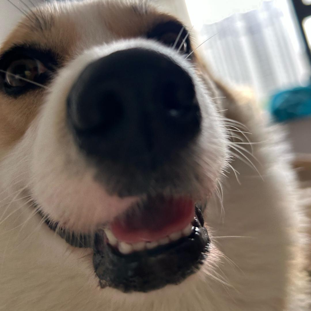 秋、