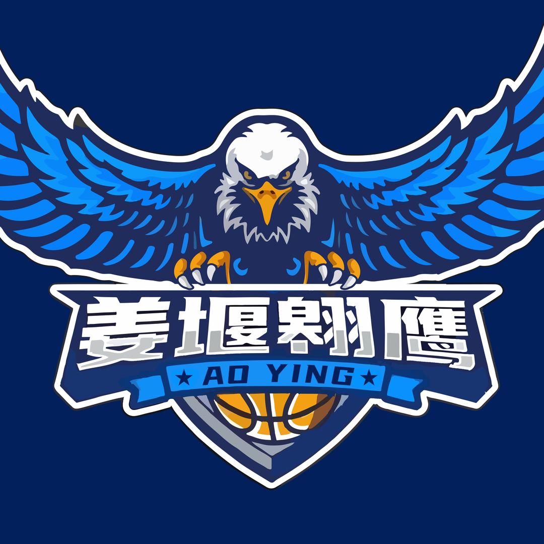 翱鹰篮球🏀
