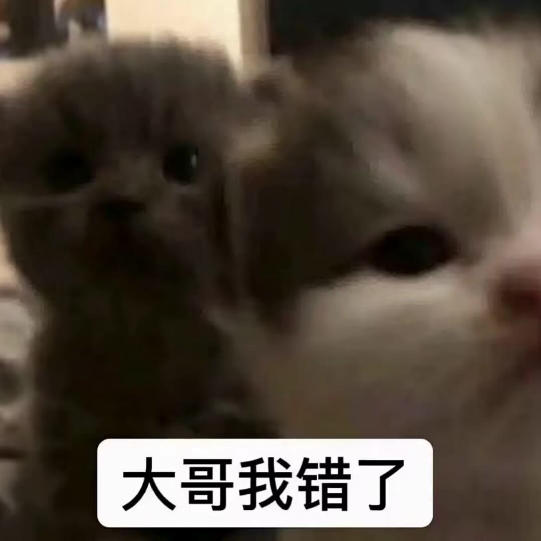 2233