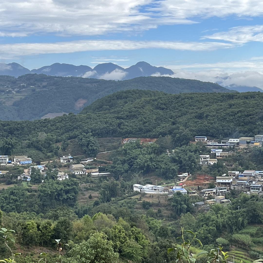 廿品茶叶         王家地