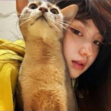 A-济南租房七七