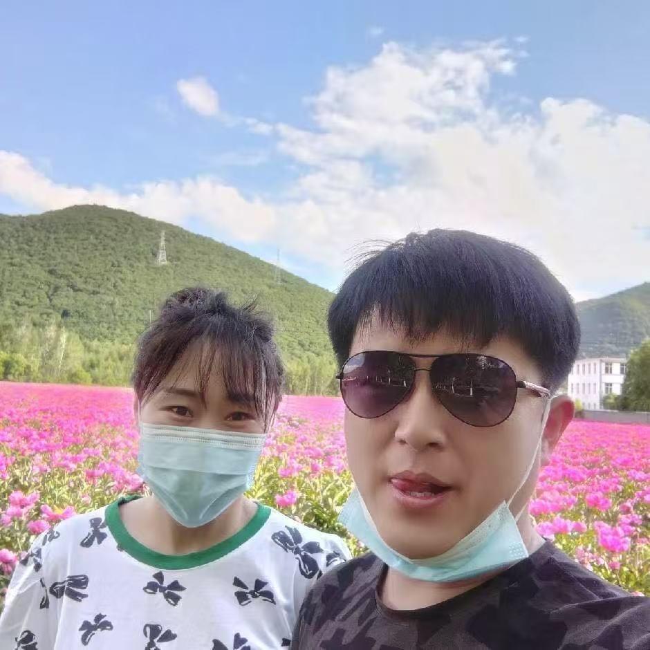 清河刘记林下参行