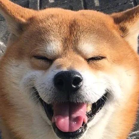 可乐啊啊啊啊