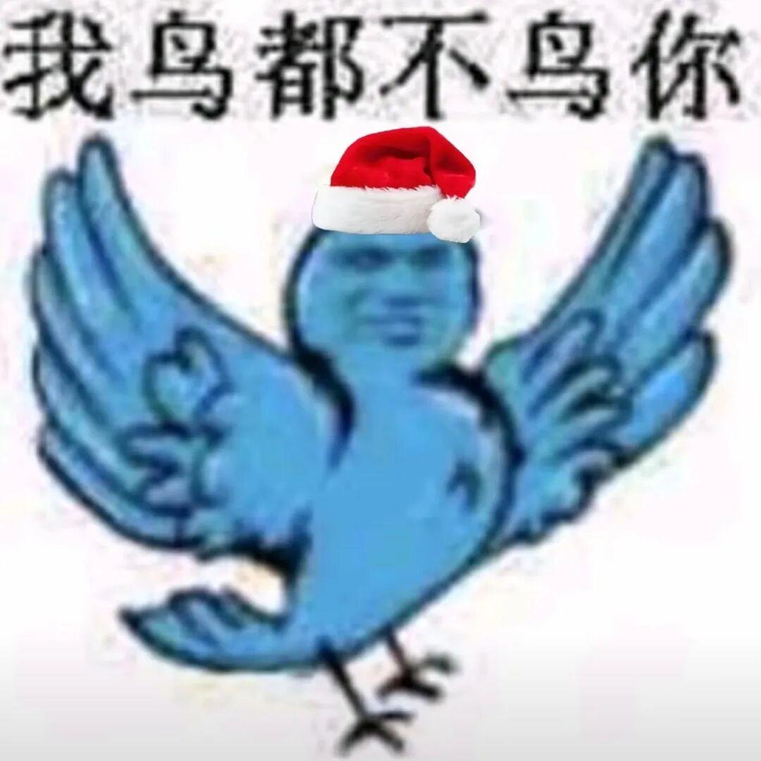 你滚好不好