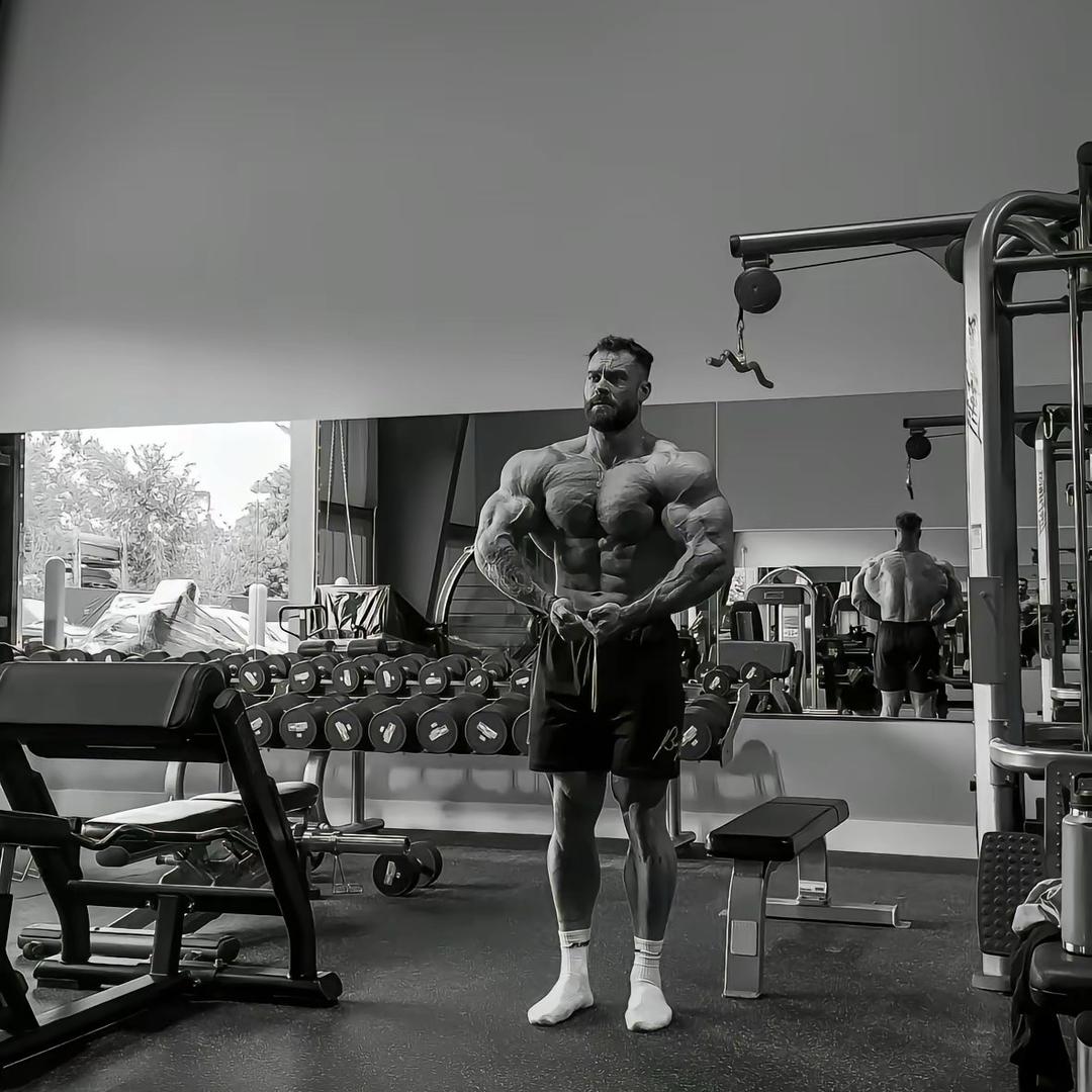 爱健身的刘同学.