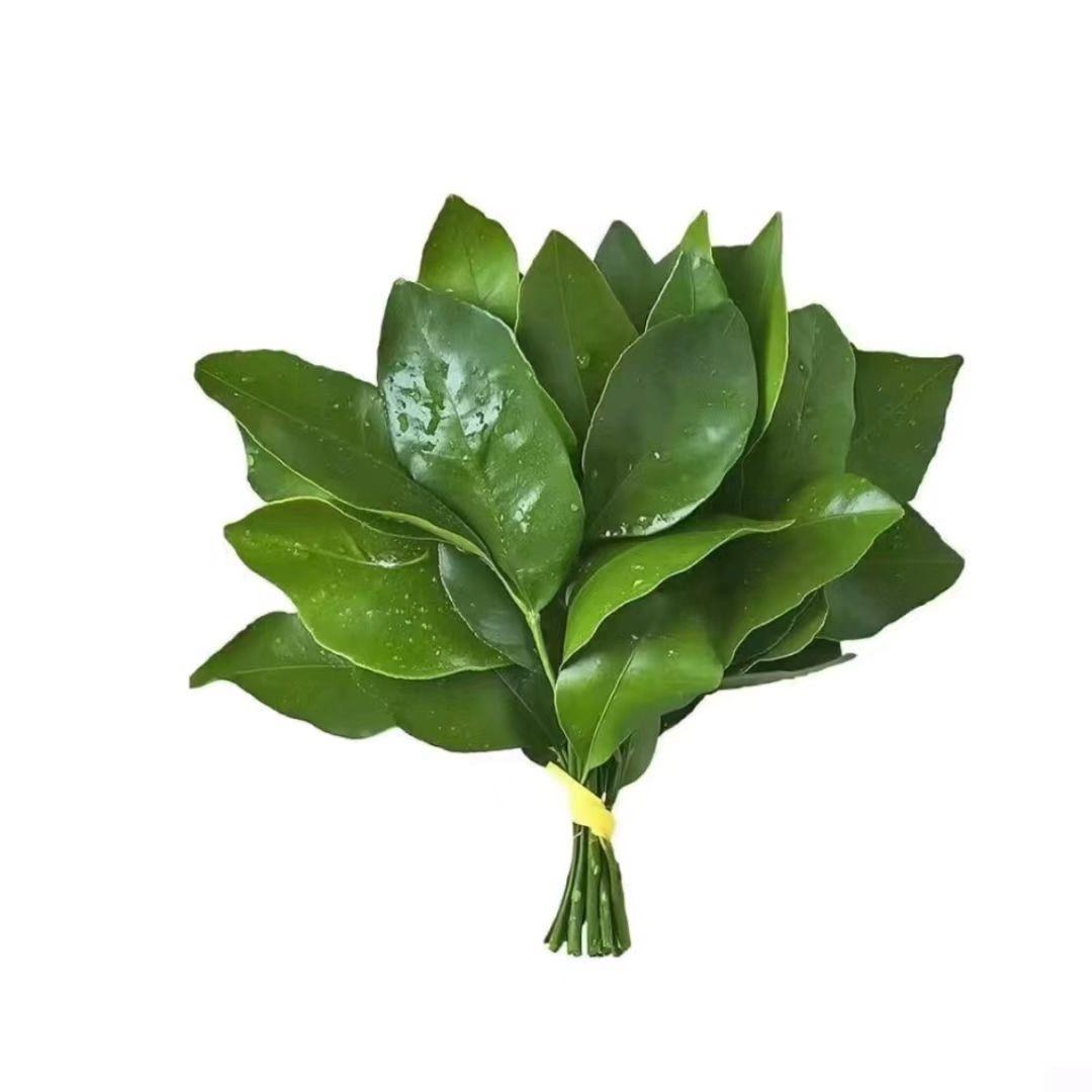 玉米排骨汤