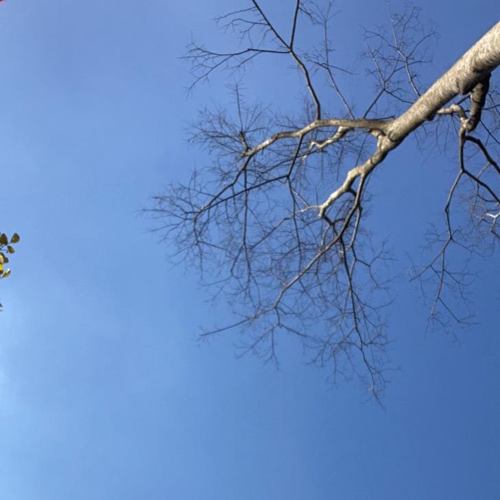 蓬山溪水