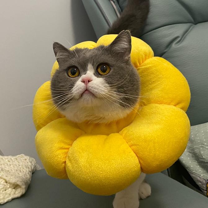 荷包有炸弹💪i🇨🇳