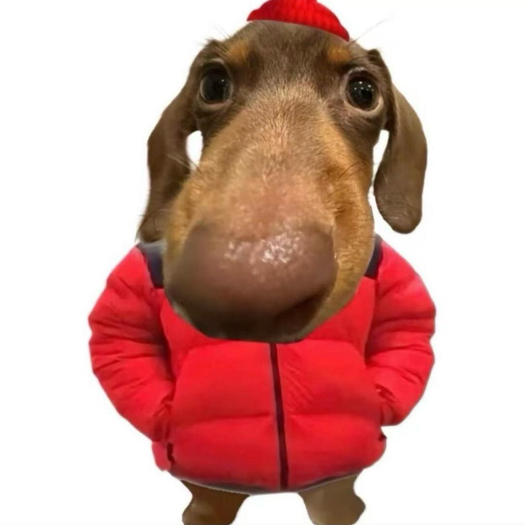 别刀刀了